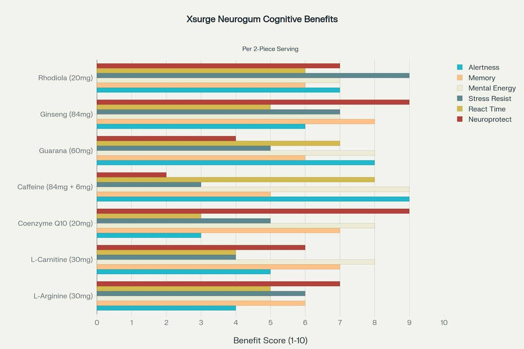 Xsurge Neurogum: Ingredient Analysis and Cognitive Mechanisms
